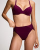 WICKED PLUM